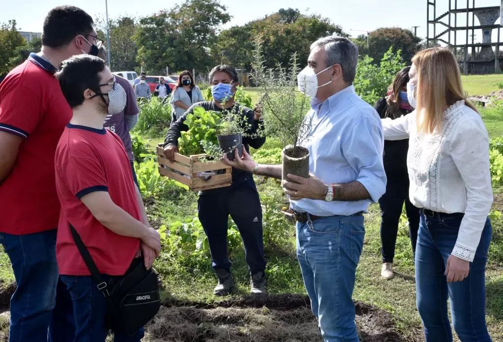 Plantarán 1.000 árboles en espacios verdes y barrios de la ciudad 