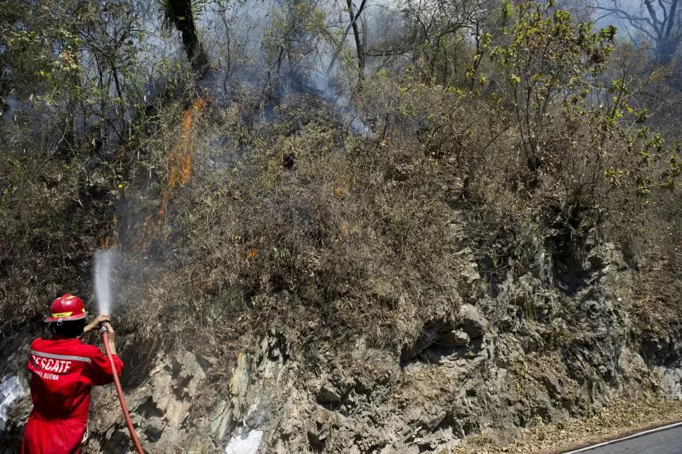 ARDUA TAREA. Los bomberos trabajan durante horas en los siniestros. 