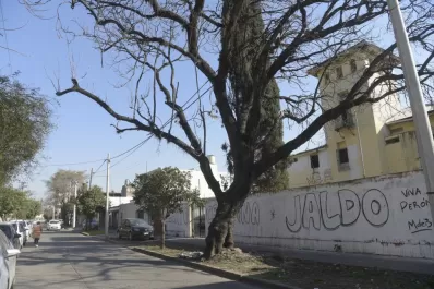 Cartas de lectores I: censo del arbolado urbano