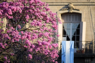 Anuncian mucho sol este domingo y una semana con temperaturas altas