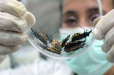 Mal de Chagas: una enfermedad silenciosa que se puede curar si se detecta a tiempo
