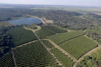 Cómo se trabaja en Tucumán con la huella de carbono