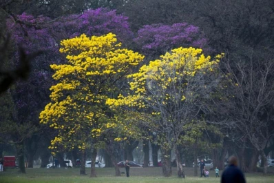 La duda existencial de los tucumanos: ¿se dice septiembre o setiembre?