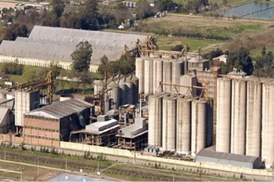 La empresa Molino Cañuelas anunció un concurso preventivo de acreedores