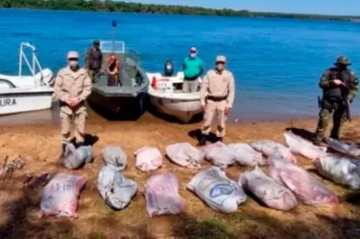 En Corrientes, la Prefectura secuestró 700 kilogramos de carpinchos faenados