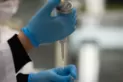 El suero equino hiperinmune demostró una alta capacidad neutralizante contra la variante Delta de coronavirus