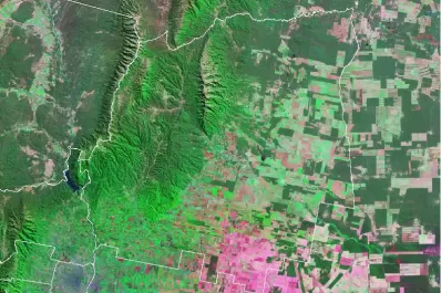 La Eeaoc logró un mapa satelital del área de caña