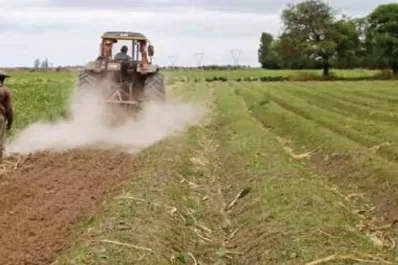 Claves para el desboquillado en caña