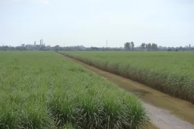 Una gran oportunidad para la energía renovable