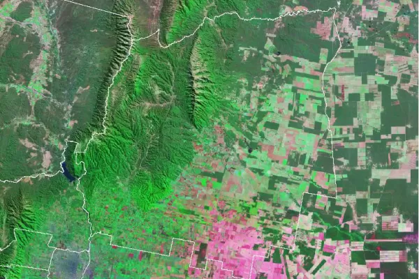 La Eeaoc logró un mapa satelital del área de caña