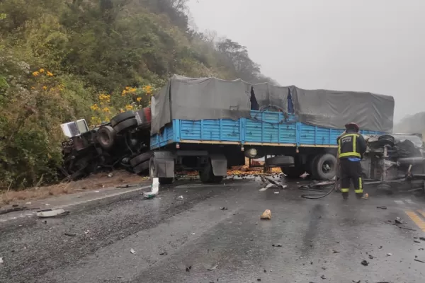 Tragedia en la ruta 9: condenaron al camionero que chocó contra la ambulancia del Siprosa