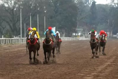 Turf: Wan Runner sigue escalando y apunta alto