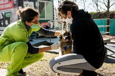 Yerba Buena: el tráiler veterinario atenderá en la plaza Nougués
