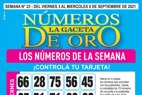 ¡Mucha suerte! Esta es la grilla completa de los Números de Oro