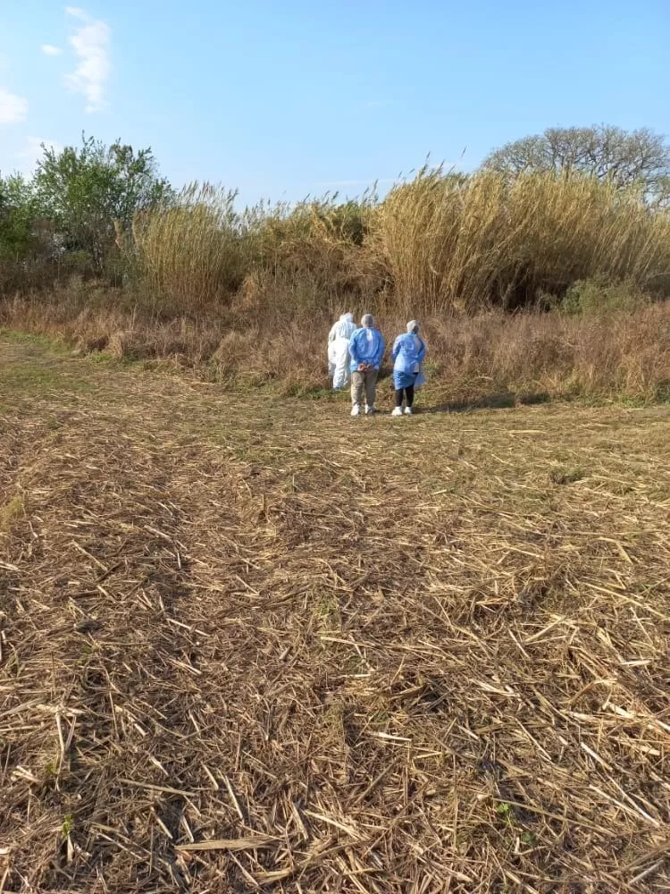 EN PLENA TAREA. Peritos del ECIF analizan el lugar donde fue hallado el cuerpo de la jubilada. 