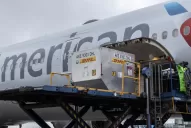 Vacunarán con Pfizer a chicos de entre 12 y 17 años