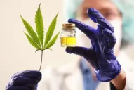 Respuesta positiva del cannabis medicinal a la epilepsia refractaria