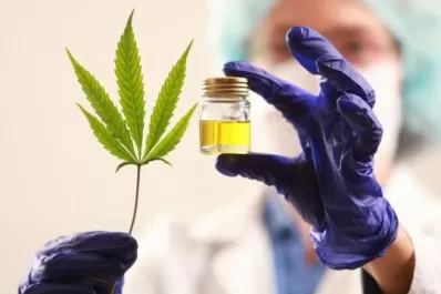 Respuesta positiva del cannabis medicinal a la epilepsia refractaria