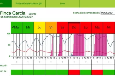 Papa: experiencias positivas gracias al uso de PhytoAlert