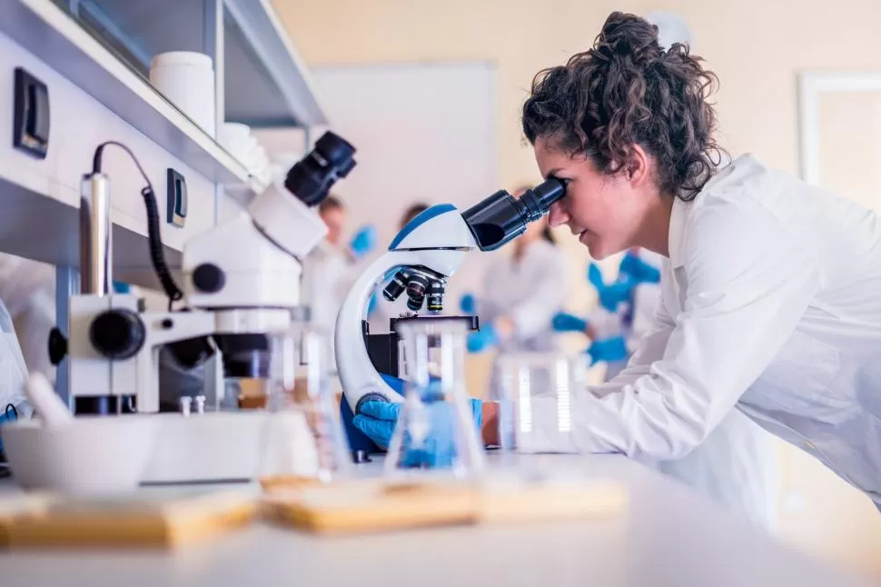 BAJA PARTICIPACION. Hay pocas mujeres en sectores dinámicos como Ciencia y Tecnología, manufactura o construcción.  
