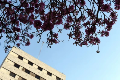 La semana comienza con mucho sol y no se descartan lloviznas por la noche