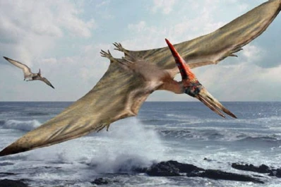 El “dragón volador” surcaba los cielos del sur