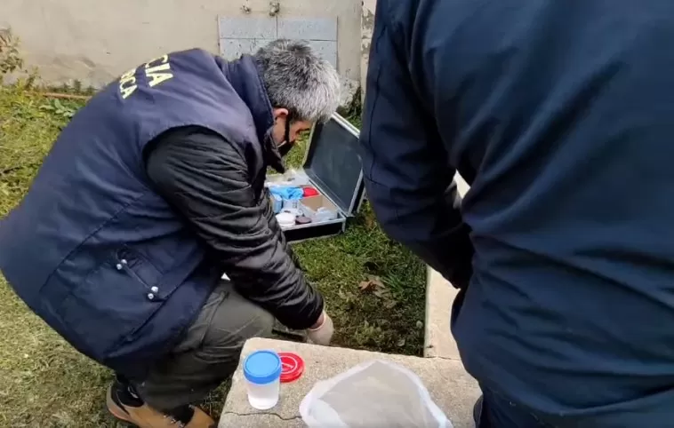 Macabro hallazgo en Balcarce: encontró restos de un miembro masculino frente a su casa