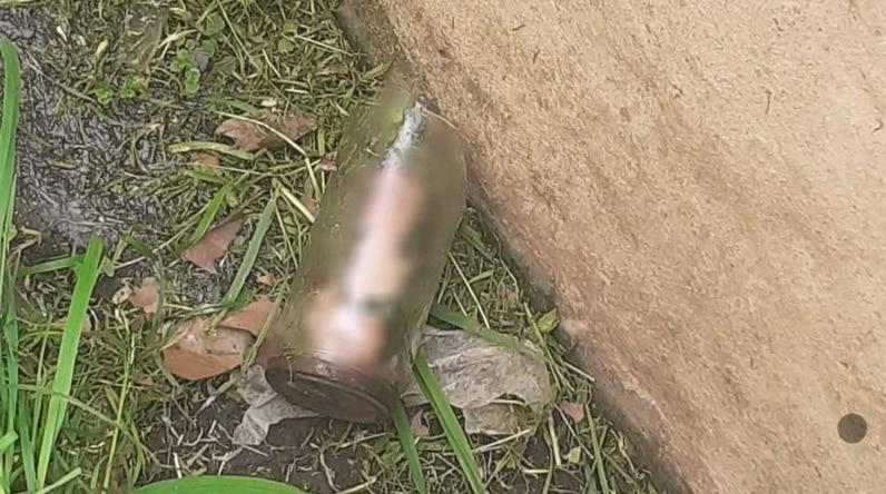 Macabro hallazgo en Balcarce: encontró restos de un miembro masculino frente a su casa