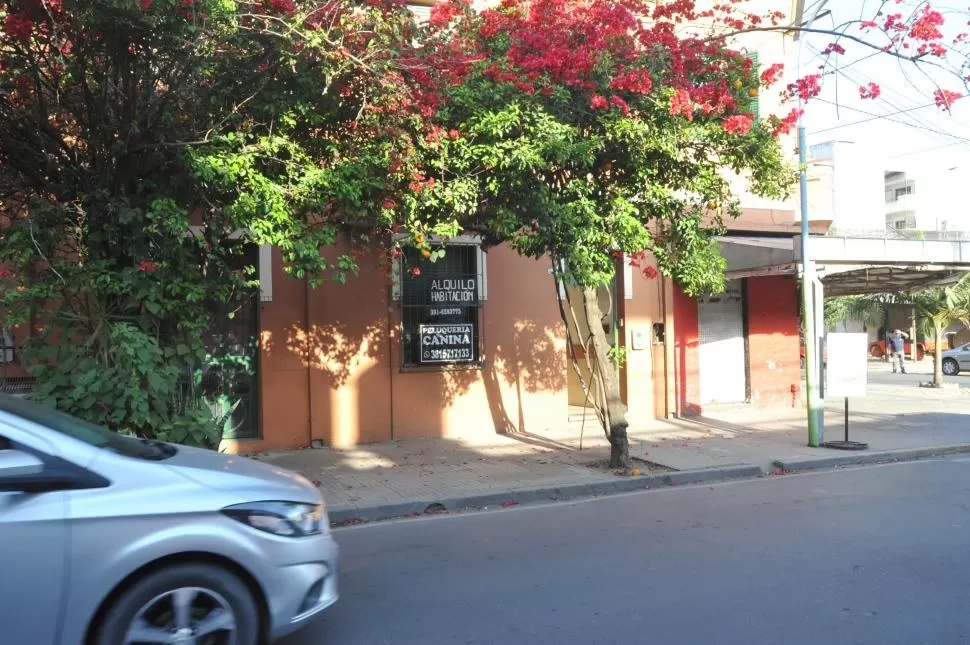 HOY. La esquina de José Colombres y San Juan ha cambiado su aspecto después de un allanamiento.  