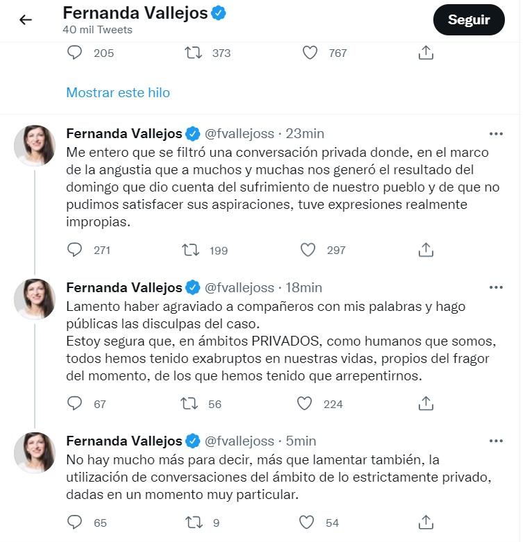 Una diputada K calificó de enfermo, ocupa y mequetrefe a Alberto Fernández