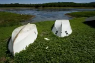 El agua: clave para la vida y para la economía
