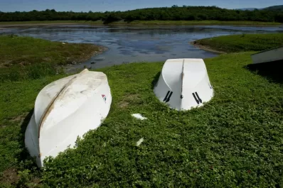 El agua: clave para la vida y para la economía