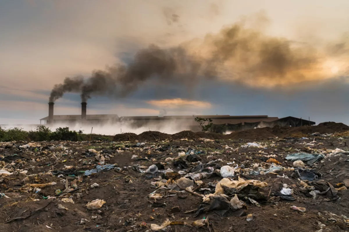 ¿Ayudan las multas verdes a disminuir la contaminación?