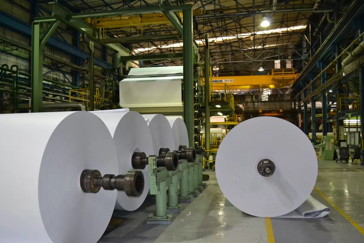 DERIVADOS DE TODA CLASE. El papel es uno de los tantos productos que pueden fabricarse a partir de la caña de azúcar. 