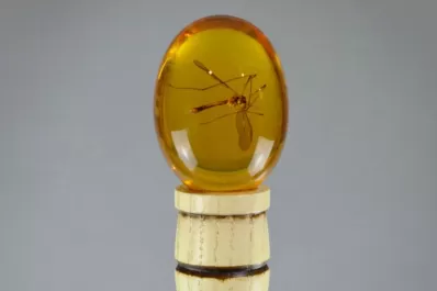 La tecnología que se estaba volviendo obsoleta y resucitó por la pandemia