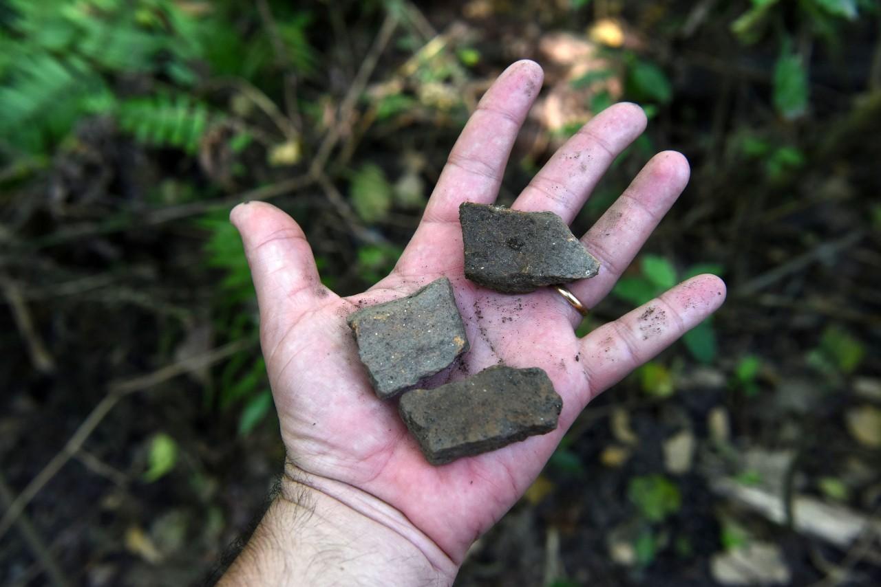 PIEZAS DE CERÁMICA. Están desperdigadas por el terreno.