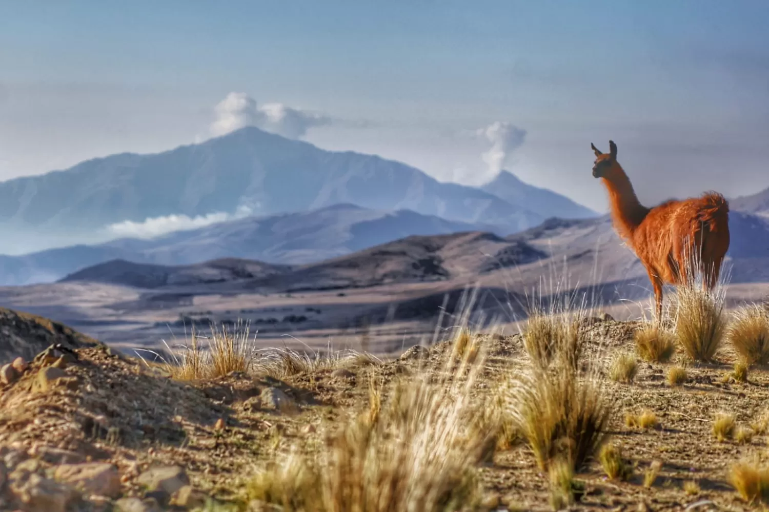 POSTALES INOLVIDABLES. Tafí del Valle cautiva al turismo con sus paisajes y su clima.