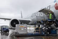 Llegaron al país más de 800.000 dosis de vacunas Pfizer contra el coronavirus