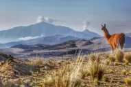 A la espera del fin de semana largo: Tafí del Valle invita a una escapada en Tucumán