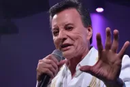 Palito Ortega vuelve a los escenarios: al aire libre y con entrada gratuita