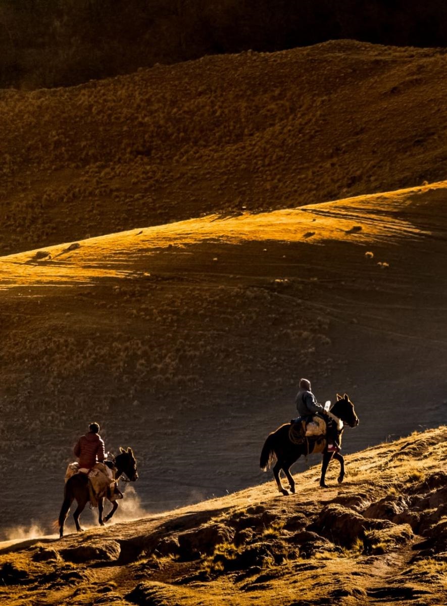 CABALGATAS. Una opción para hacer recorridos. 