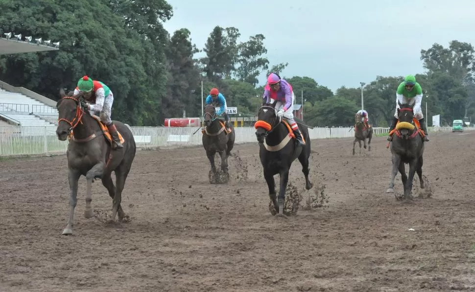 POR OTRA VICTORIA. Doble Alegría es una de las cartas en el cotejo de la milla. LA GACETA / FOTO DE ANTONIO FERRONI