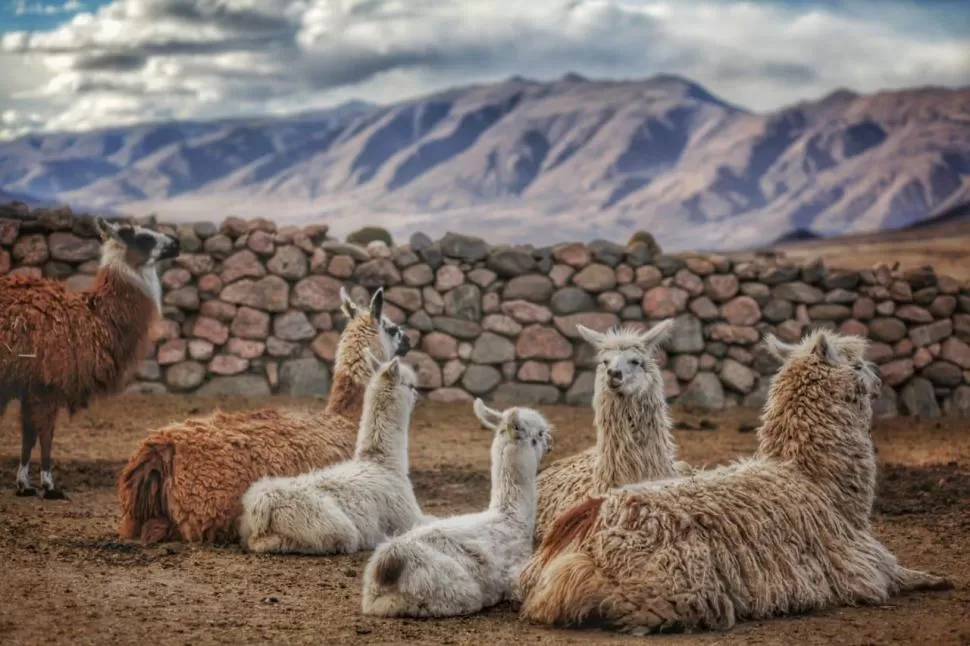 LO NATURAL. Un tiempo de descanso