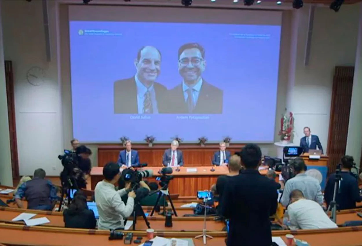 El Nobel de Medicina fue para dos especialistas que investigaron receptores en temperatura y tacto