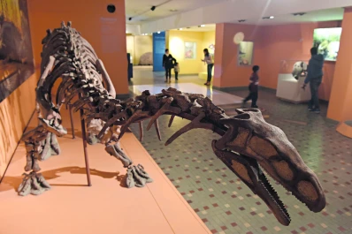 Fundación Lillo: con turnos, reabre su museo