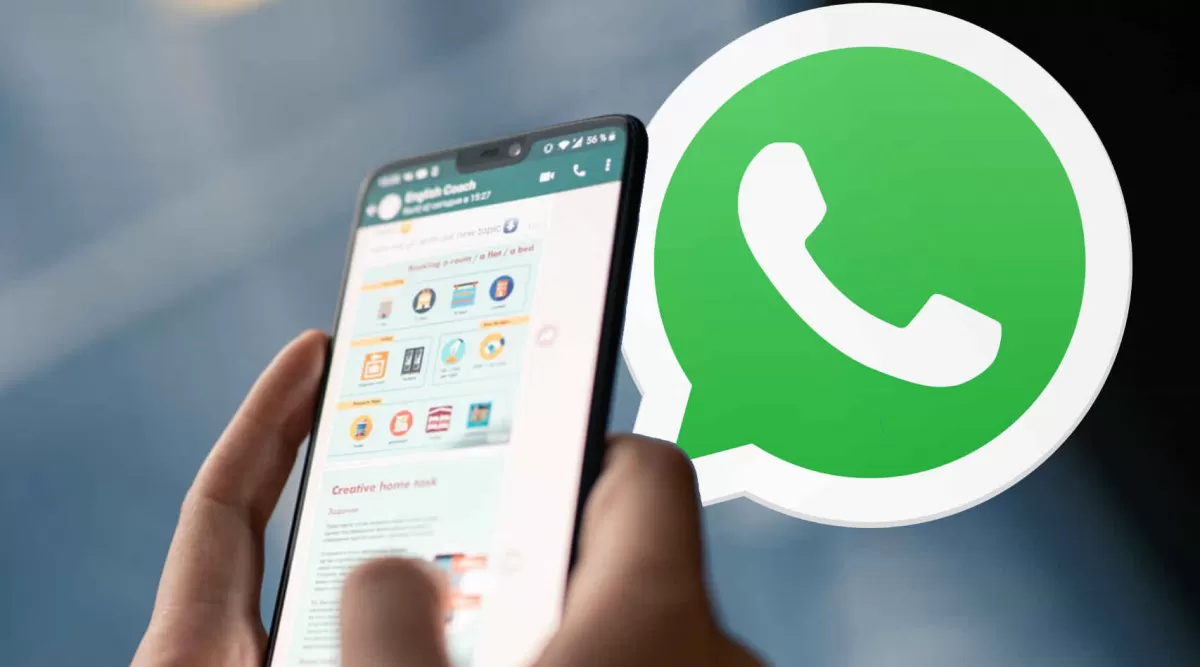 WhatsApp. Ya podés consultar toda la info de las elecciones. 