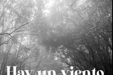 Presentarán el libro “Hay un viento”, de Tafí Viejo Ediciones