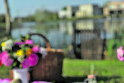 Cómo hacer un buen picnic primaveral