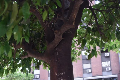 Amor y vandalismo en el corazón de la ciudad