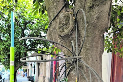 Cables caídos y riesgo en centro y barrio Norte